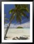 Blue Lagoon, Rangiroa, Tuamotu Archipelago, French Polynesia Islands by Sergio Pitamitz Limited Edition Print