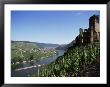 Gravenburg Castle, River Mosel, Rhineland Palatinate, Germany by Oliviero Olivieri Limited Edition Print