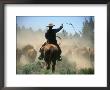 Cowboy Driving Cattle With Lasso Through Central Oregon, Usa by Janis Miglavs Limited Edition Print
