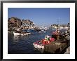 Weymouth Harbour, Dorset, England, United Kingdom by Jenny Pate Limited Edition Print