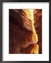 Wall Street, Navajo Loop Trail, Bryce Canyon National Park, Utah, Usa by Jamie & Judy Wild Limited Edition Pricing Art Print
