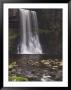 Thornton Force, Ingleton Waterfalls Walk, Yorkshire Dales National Park, Yorkshire by Neale Clarke Limited Edition Print