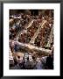Large Banquet In The Contrada Quarter, Palio, Siena, Tuscany, Italy by Bruno Morandi Limited Edition Print