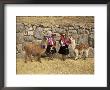 Local Women And Llamas In Front Of Inca Ruins, Near Cuzco, Peru, South America by Gavin Hellier Limited Edition Print