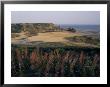 Oxwich Bay, Gower Peninsula, West Glamorgan, Wales, United Kingdom by Julia Bayne Limited Edition Print