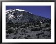 Kilimanjaro's Summit, Kilimanjaro by Michael Brown Limited Edition Pricing Art Print
