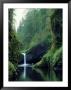 Punch Bowl Falls, Eagle Creek, Columbia River Gorge Scenic Area, Oregon, Usa by Janis Miglavs Limited Edition Print