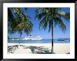 Cruise Ship, Ocho Rios, Jamaica, West Indies, Central America by Sergio Pitamitz Limited Edition Print