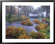 Harris Covered Bridge, Benton County, Oregon, Usa by Janis Miglavs Limited Edition Print