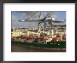 Port, Lisbon, Portugal by Ken Gillham Limited Edition Print