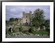 Leap Castle, Near Birr, County Offaly, Leinster, Eire (Republic Of Ireland) by Michael Short Limited Edition Print