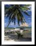 Main Dive Site In Belize, Ambergris Caye, Belize, Central America by Gavin Hellier Limited Edition Print