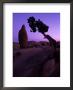Shapes And Textures In The Mojave Desert, California, Usa by Jerry Ginsberg Limited Edition Print