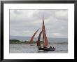 Galway Hookers At Roundstone Regatta, Connemara, County Galway, Connacht, Republic Of Ireland by Gary Cook Limited Edition Print