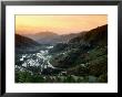 Rice Terraces, Ifugao Province, Luzon, Southern Tagalog, Philippines by John Elk Iii Limited Edition Print
