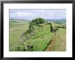 Housesteads, Hadrian's Wall, Northumberland, England, Uk by Roy Rainford Limited Edition Print