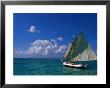 Sailing Boat, Ambergris Caye, Belize by Doug Mckinlay Limited Edition Print