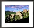 Rock Formations And Pine Forest, Black Hills, South Dakota by Richard Cummins Limited Edition Print