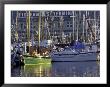 Vessels At Fishermen's Terminal, Seattle, Washington, Usa by William Sutton Limited Edition Print