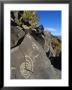 Petroglyphs, Santa Fe County, New Mexico, Usa by Michael Snell Limited Edition Print