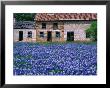 Field Of Blubonnets, Marble Hill Area, Texas, Usa by Richard Cummins Limited Edition Print