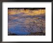 Colorful Light On The Virgin River, Utah, Usa by Jerry Ginsberg Limited Edition Pricing Art Print