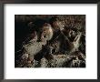 A Close View Of Embracing Skeletons Excavated On Herculaneums Beach by O. Louis Mazzatenta Limited Edition Print
