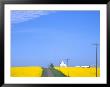 Road Running Through Canola Field With Gray Barn, Grangeville, Idaho, Usa by Terry Eggers Limited Edition Print
