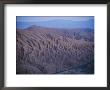 The Desert Dwarfs The One Road From Calama To San Pedro De Atacama by Joel Sartore Limited Edition Print