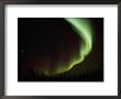 Aurora Borealis Creates Exquisite Patterns Across The Night Sky by Norbert Rosing Limited Edition Print