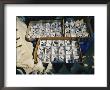 A Display Of Shark Tooth Jewelry by Clarita Berger Limited Edition Print