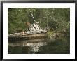 An Abandoned Tugboat On The Edge Of Barnard Harbour by Richard Nowitz Limited Edition Print