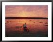 Woman Kayaking At Dusk, Penobscot Bay, Maine by Skip Brown Limited Edition Pricing Art Print