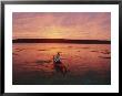 Woman Kayaking At Dusk, Penobscot Bay, Maine by Skip Brown Limited Edition Print