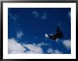 A Snowboarder Launches In The Air And Appears For A Second To Be Riding The Clouds by Barry Tessman Limited Edition Print
