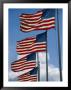 A Stiff Breeze Blows A Row Of American Flags On The Battlefield by Stephen St. John Limited Edition Print