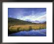Brilliant Fall Colors And Light On Wonder Lake, Alaska by Rich Reid Limited Edition Print