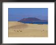Sand Dunes And Isla De Los Lobos In Background, Corralejo, Fuerteventura, Canary Islands, Spain by Marco Simoni Limited Edition Print