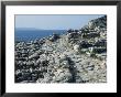 Ancient Roadway In The Ruins Of A Minoan Town, Gournia, Crete, Greek Islands, Greece by Michael Short Limited Edition Print