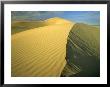 Glamis Sand Dunes, California, Usa by Chuck Haney Limited Edition Print