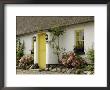 Thatched Cottages, Ballyvaughan, County Clare, Munster, Republic Of Ireland by Gary Cook Limited Edition Print