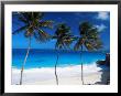 Bottom Bay, Barbados, West Indies, Caribbean, Central America by John Miller Limited Edition Print