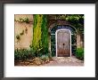 Greenery Surrounding Wooden Door, Provence, France by Tom Haseltine Limited Edition Print