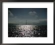 Oakland Bay Bridge As Seen From A Distance Across The Bay by Todd Gipstein Limited Edition Print