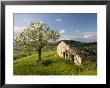 Old Farmhouse, Pergusa, Enna, Sicily, Italy by Walter Bibikow Limited Edition Print