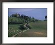 House And Cypress Trees, Val D'orcia, Siena Provice, Tuscany, Italy by Bruno Morandi Limited Edition Print