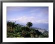 Mount Teide, Tenerife, Canary Islands, Spain, Atlantic by John Miller Limited Edition Print