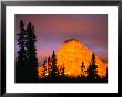 Sunrise On Sinopah Mountain At Two Medicine Lake - Glacier National Park, Montana, Usa by John Elk Iii Limited Edition Print