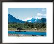 Float Plan On Salmon Stream, Katmai National Park, Alaska, Usa by Dee Ann Pederson Limited Edition Print