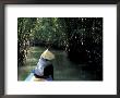Rowing Boat In Jungle Waterway, Mekong Delta, Vietnam by Keren Su Limited Edition Print